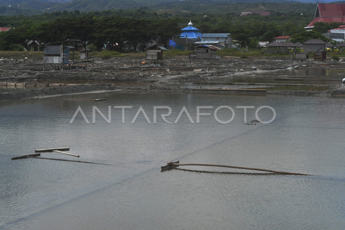 Produksi Garam Terhenti Akibat Hujan Antara Foto