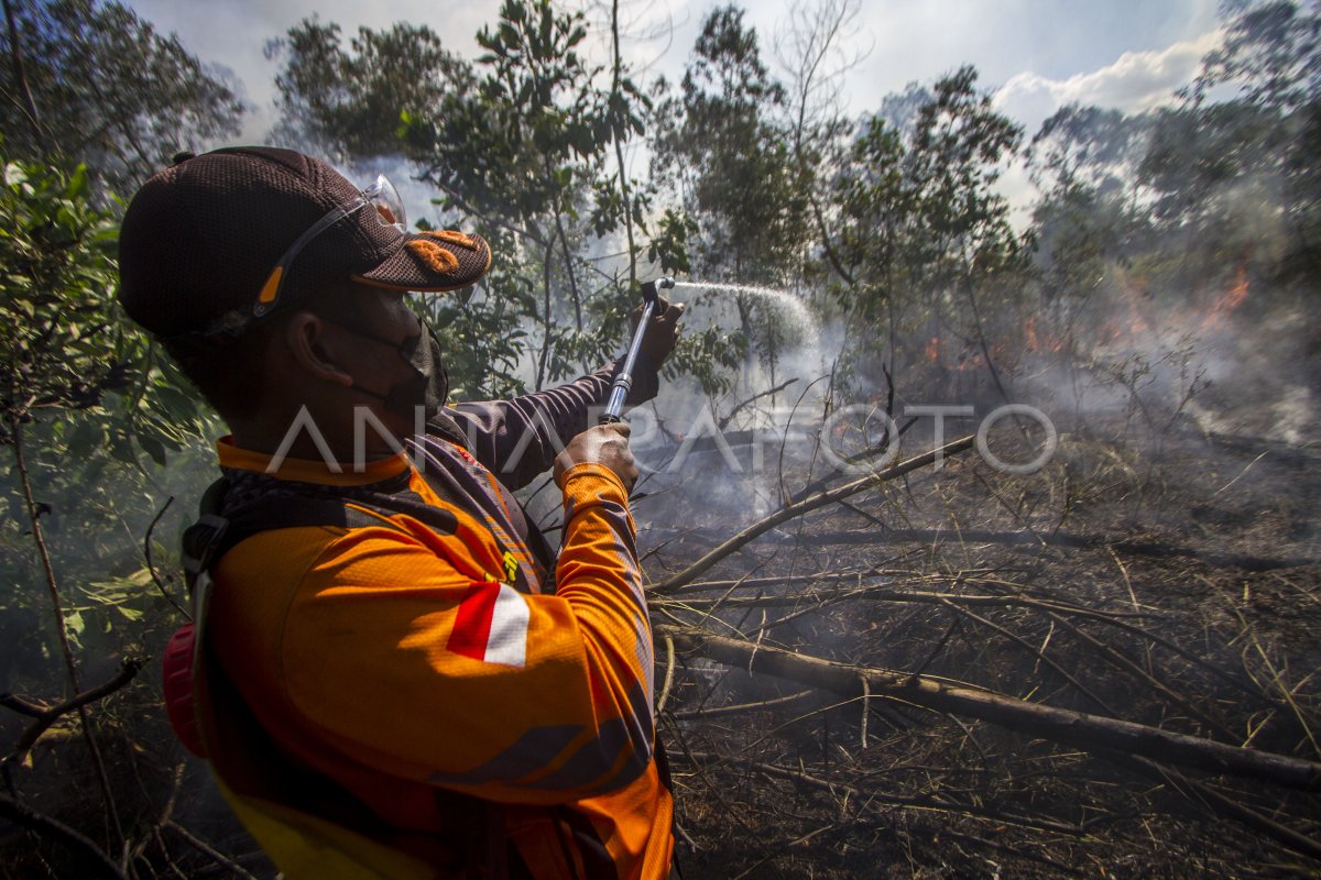 UPAYA PEMADAMAN KEBAKARAN LAHAN DI KALSEL | ANTARA Foto