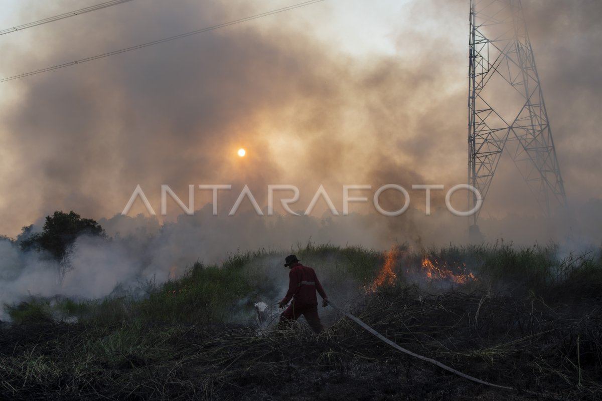 UPAYA PEMADAMAN KEBAKARAN LAHAN DI PULAU SEMAMBU | ANTARA Foto