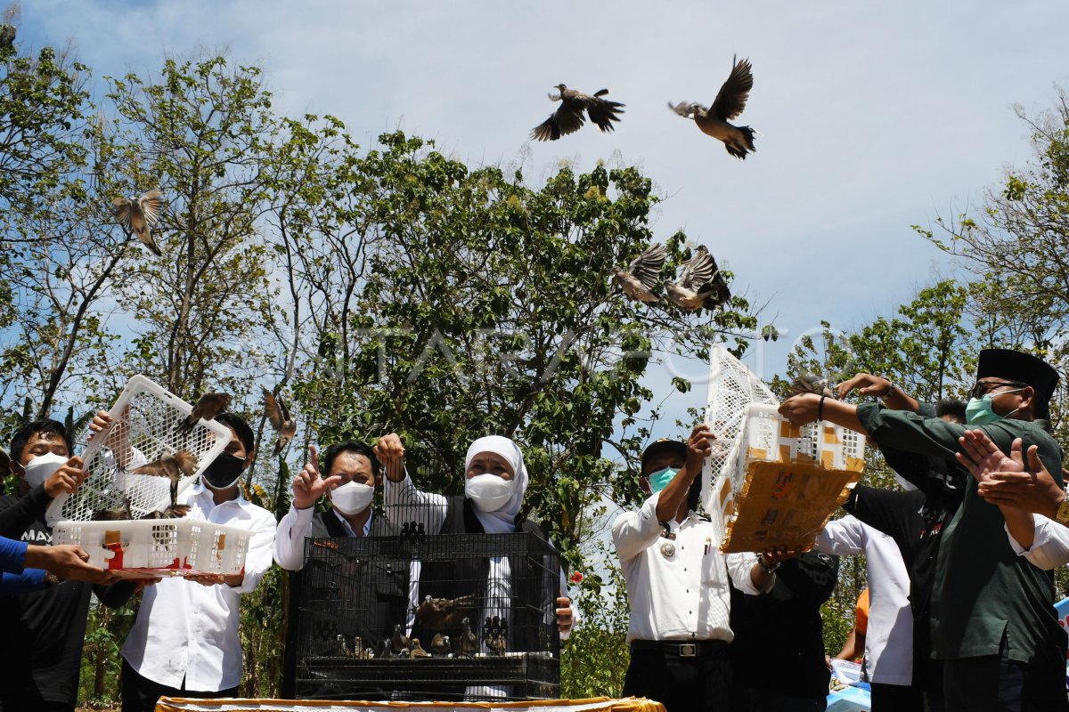 Kunjungan Kerja Gubernur Jawa Timur Antara Foto