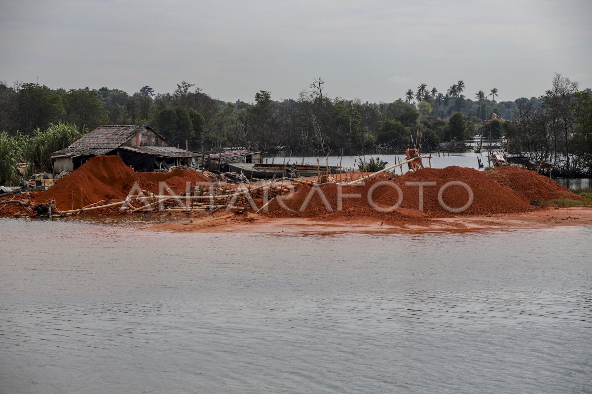 Kerusakan Hutan Mangrove Di Kepri Antara Foto