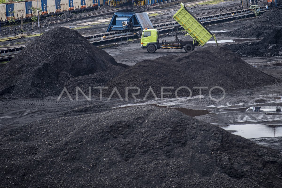 LARANGAN EKSPOR BATUBARA | ANTARA Foto