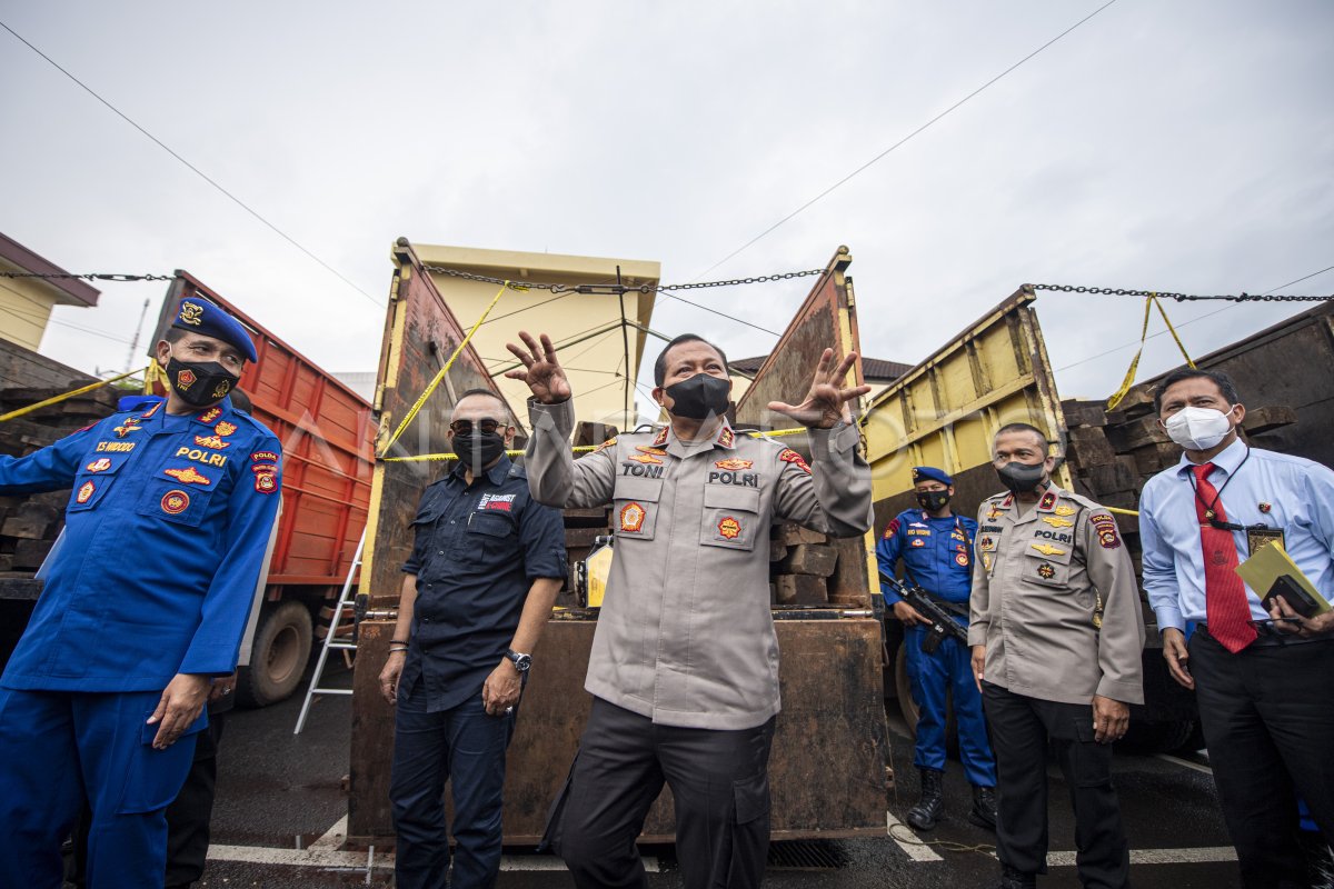 UNGKAP KASUS ILLEGAL LOGGING DI PERBATASAN SUMSEL-JAMBI
