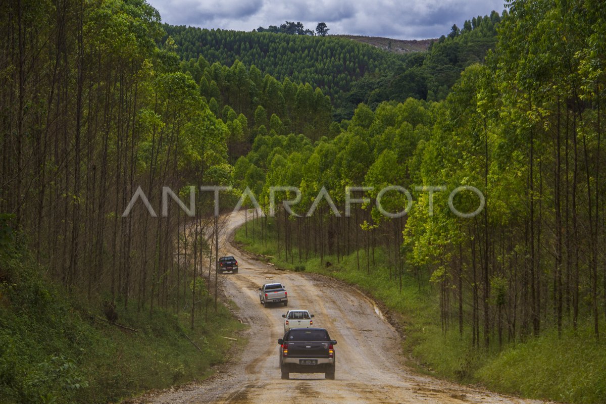 KAWASAN IKN NUSANTARA | ANTARA Foto