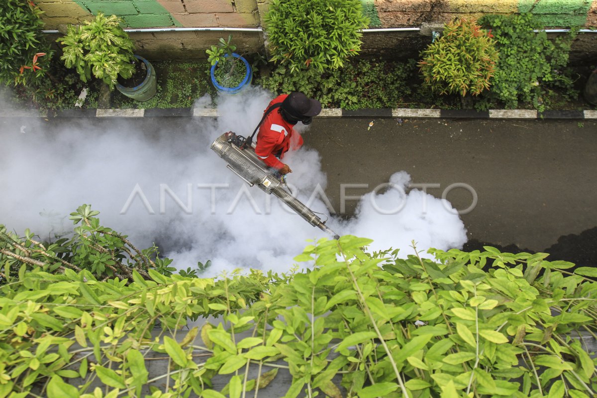 Pengasapan Cegah Dbd Di Permukiman Antara Foto