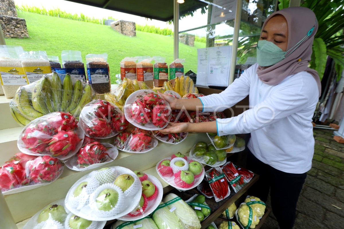 Menjelajahi Keunggulan Lokal: Review Mendalam Produk Perawatan Kulit "Kembang Desa" yang Memukau