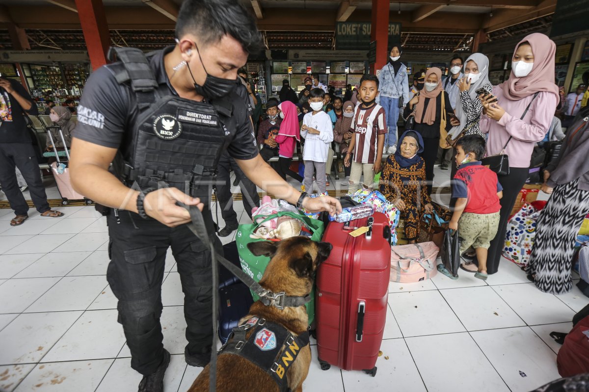 ANJING PELACAK UNTUK PEMERIKSAAN BARANG PEMUDIK | ANTARA Foto