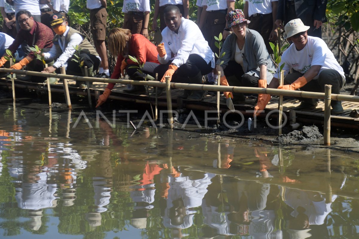 Aksi Penanaman Pohon Bakau Gpdrr 2022 Antara Foto 