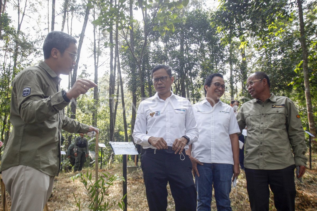 PROYEK NATURE BASED SOLUTIONS PERTAMINA PPI-PERHUTANI | ANTARA Foto