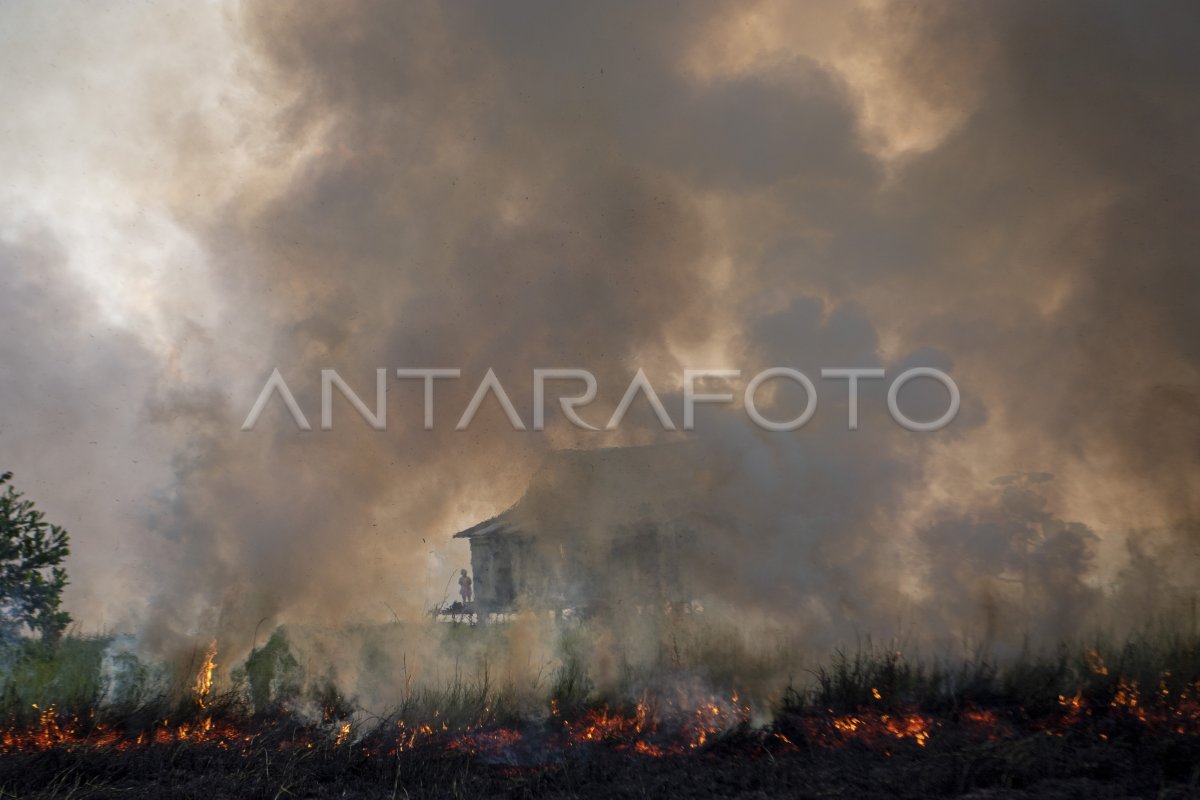 Upaya Pemadaman Kebakaran Lahan Di Ogan Ilir Antara Foto