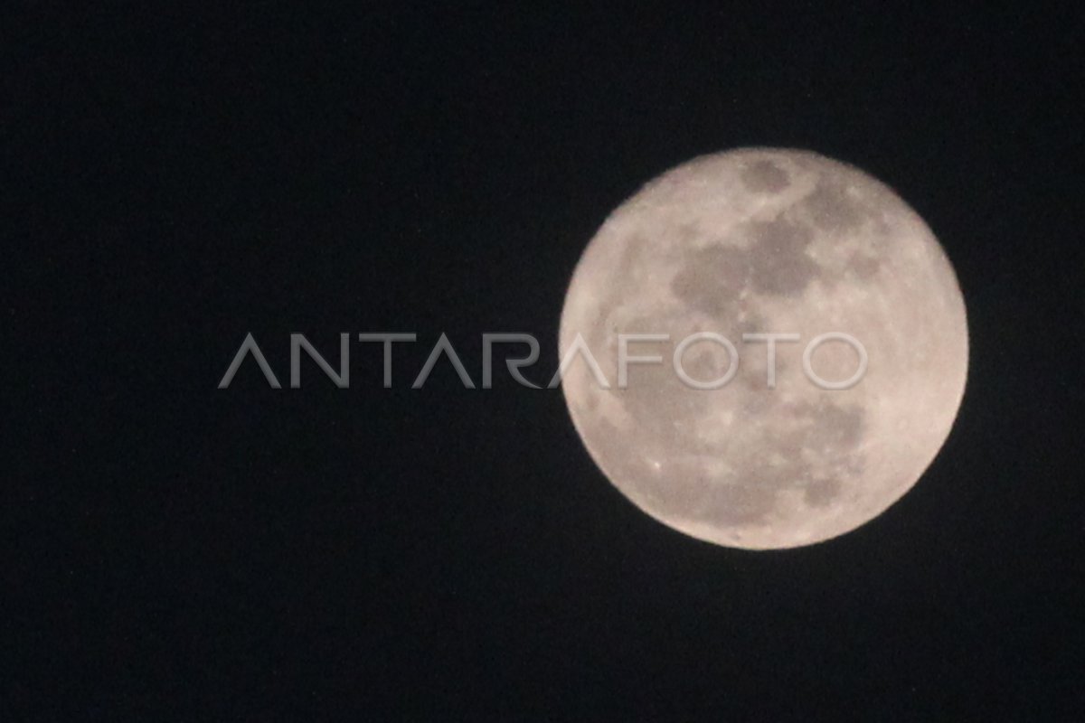 Fenomena Bulan Purnama Rusa Super Antara Foto