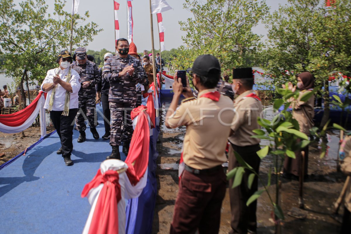 PERINGATAN HARI MANGROVE SEDUNIA | ANTARA Foto