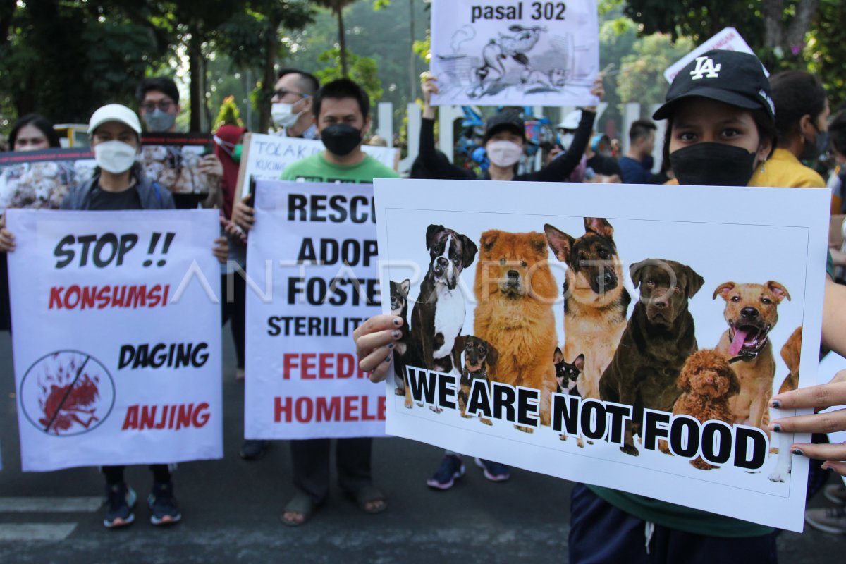 AKSI PECINTA HEWAN DI CFD DARMO | ANTARA Foto