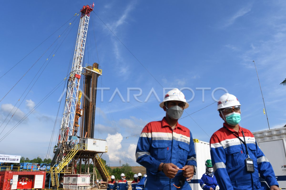 JUMLAH PRODUKSI MINYAK BLOK ROKAN SETELAH PERTAMINA AMBIL ALIH | ANTARA ...