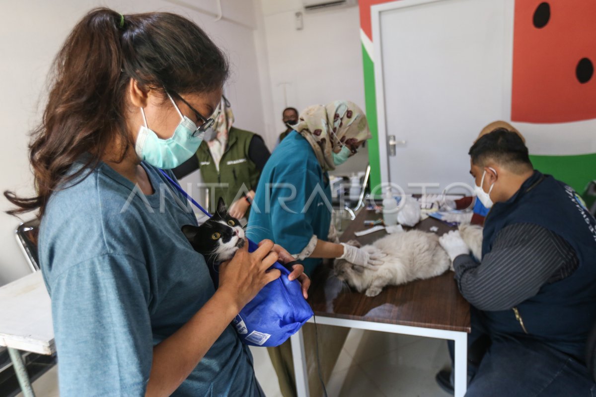 VAKSIN RABIES GRATIS DI DEPOK ANTARA Foto