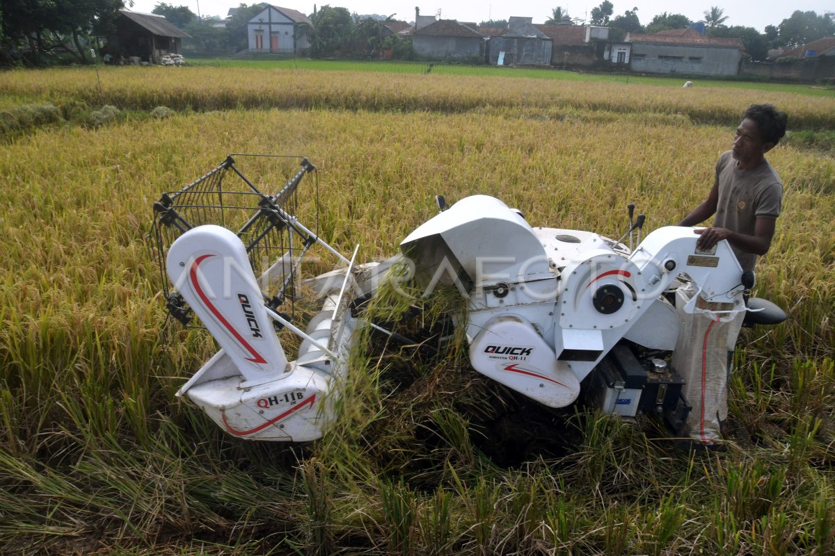 Petani Mulai Gunakan Mesin Panen Padi Antara Foto