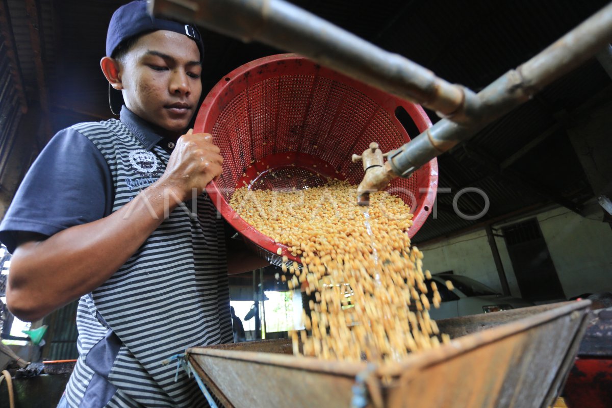 DAMPAK KENAIKAN HARGA KEDELAI TERHADAP PRODUSEN TAHU | ANTARA Foto