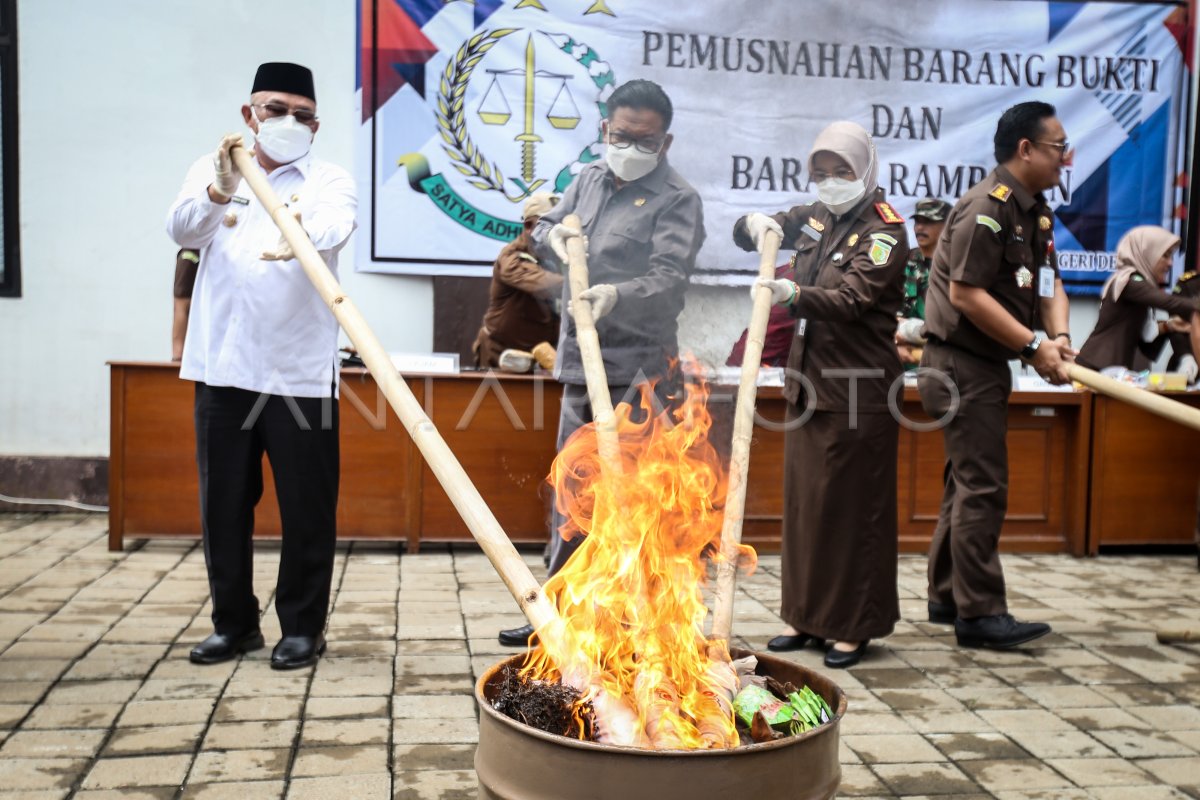 PEMUSNAHAN BARANG BUKTI NARKOTIKA | ANTARA Foto