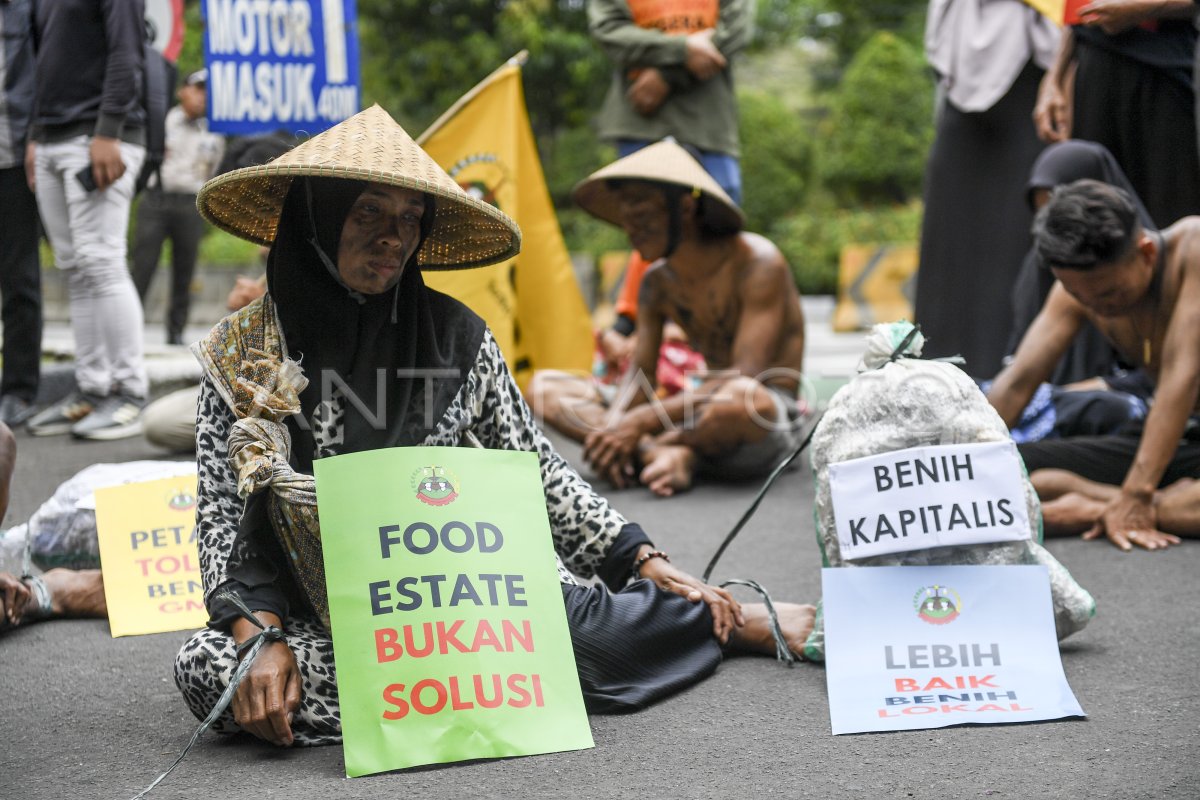 UNJUK RASA SERIKAT PETANI INDONESIA | ANTARA Foto