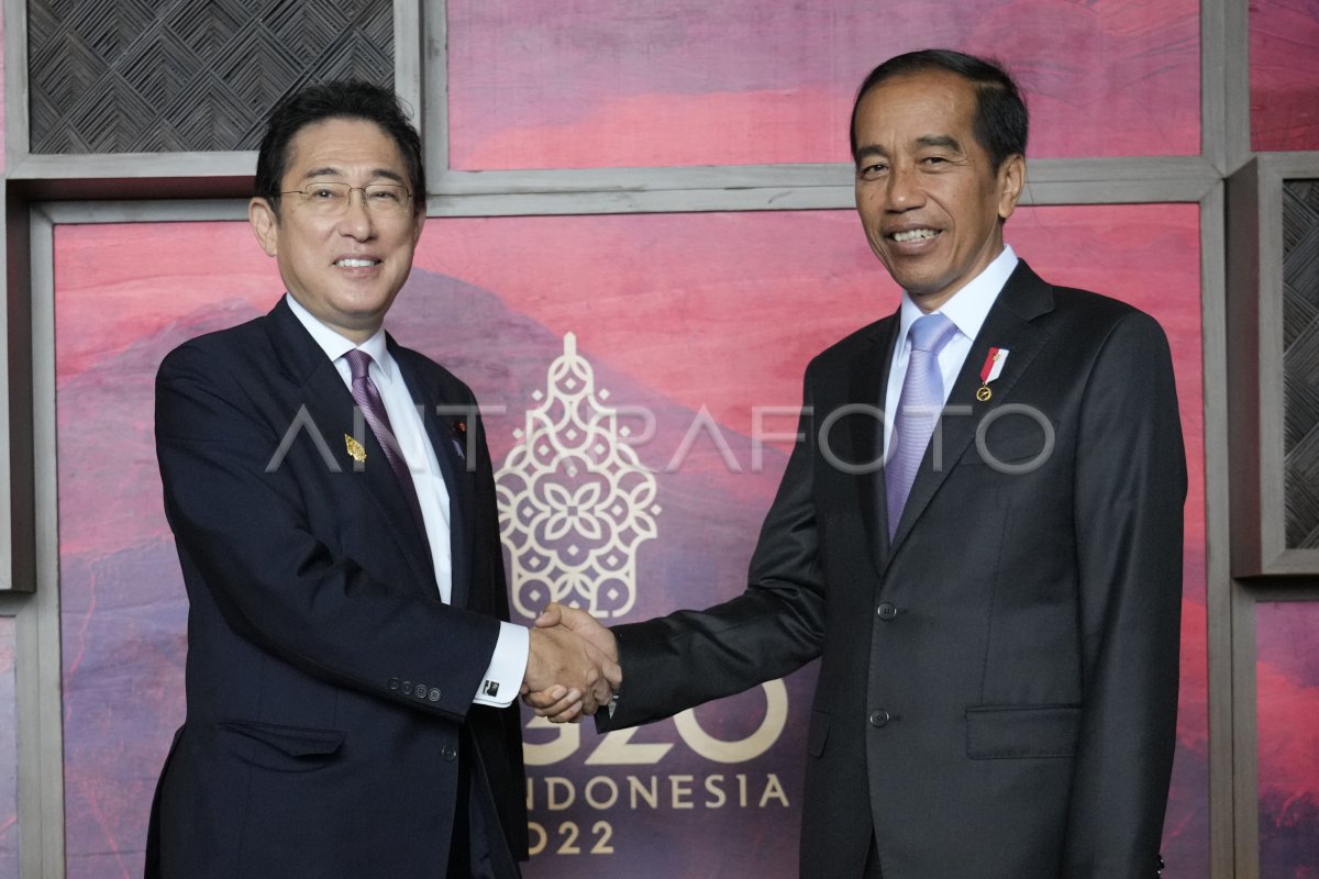 BILATERAL INDONESIA - JEPANG | ANTARA Foto