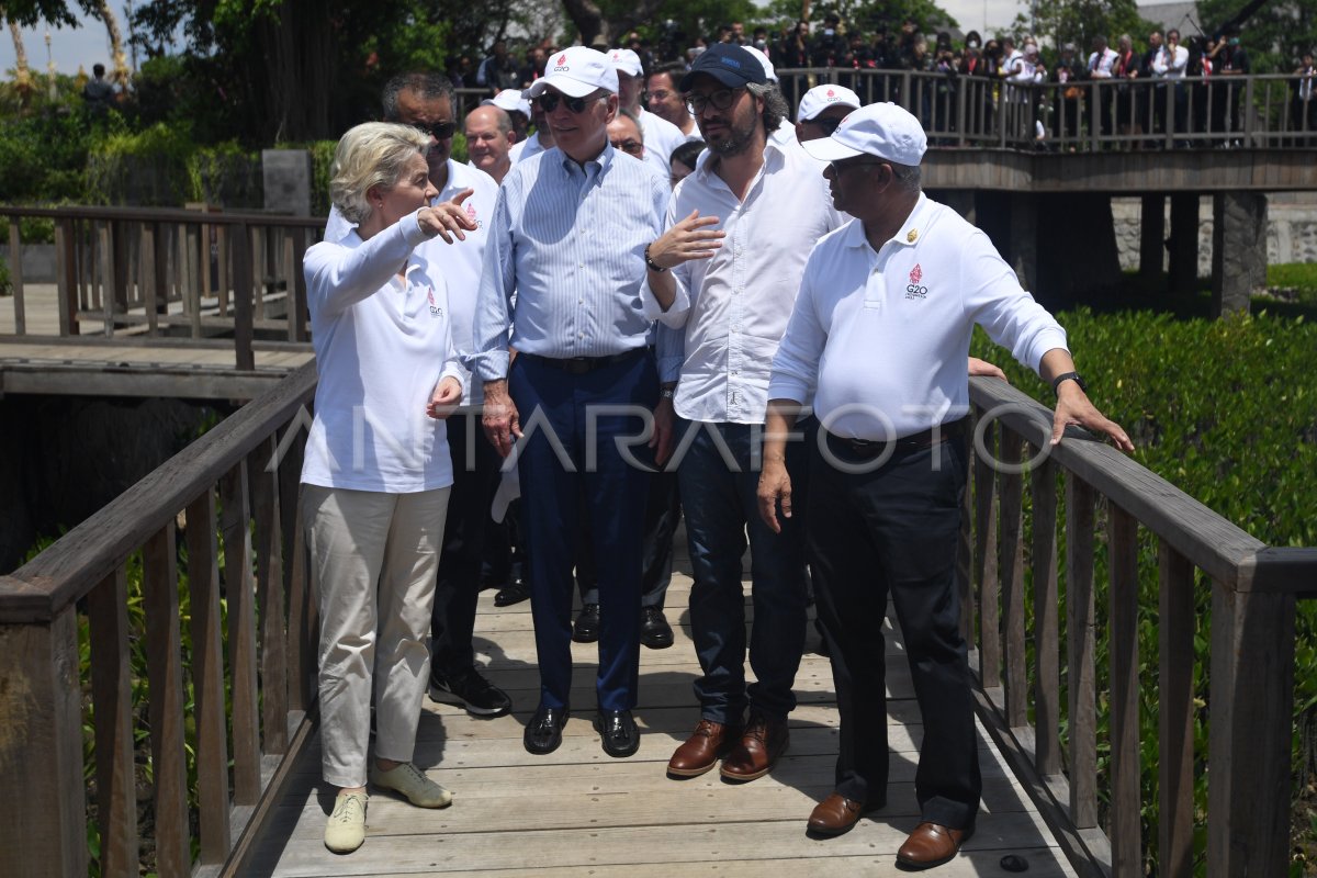 HOD G20 TINJAU HUTAN MANGROVE