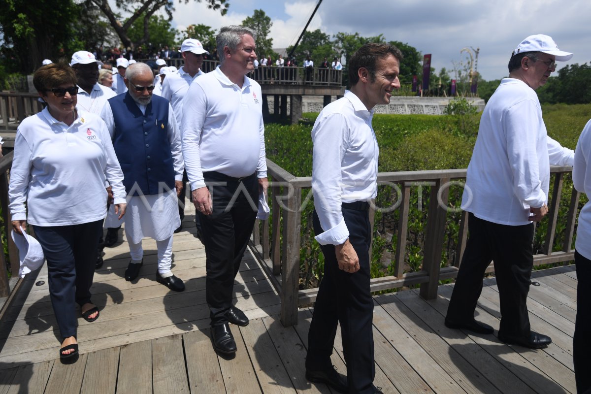 HOD G20 TINJAU HUTAN MANGROVE