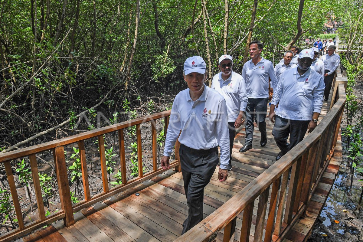 PENANAMAN MANGROVE G20 DI TAHURA NGURAH RAI BALI
