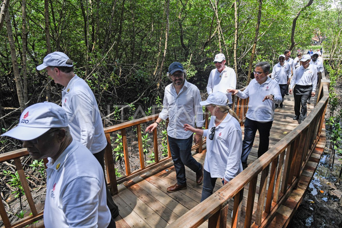 PENANAMAN MANGROVE G20 DI TAHURA NGURAH RAI BALI