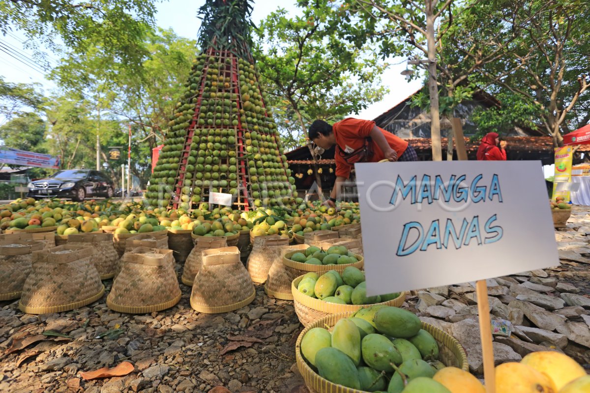 Festival Mangga Indramayu Antara Foto