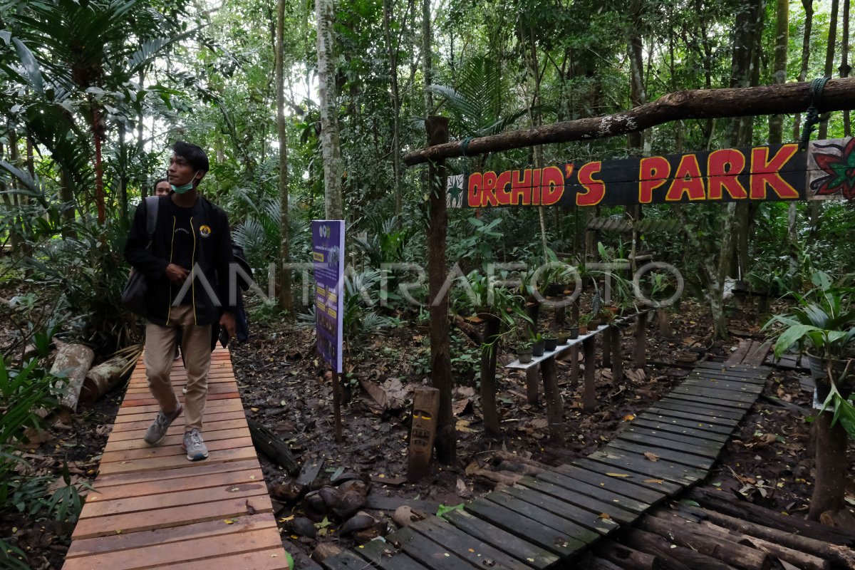 ECO EDU FOREST DI ARBORETUM UNTAN | ANTARA Foto