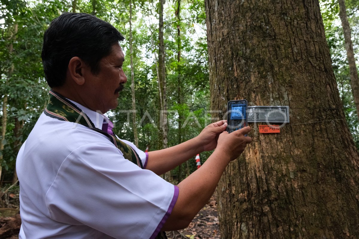 FASILITAS ECO EDU FOREST DI HUTAN ARBORETUM UNTAN | ANTARA Foto