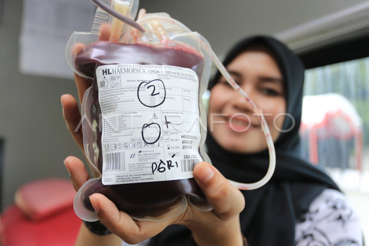 Donor Darah Hut Pgri Di Aceh Barat Antara Foto