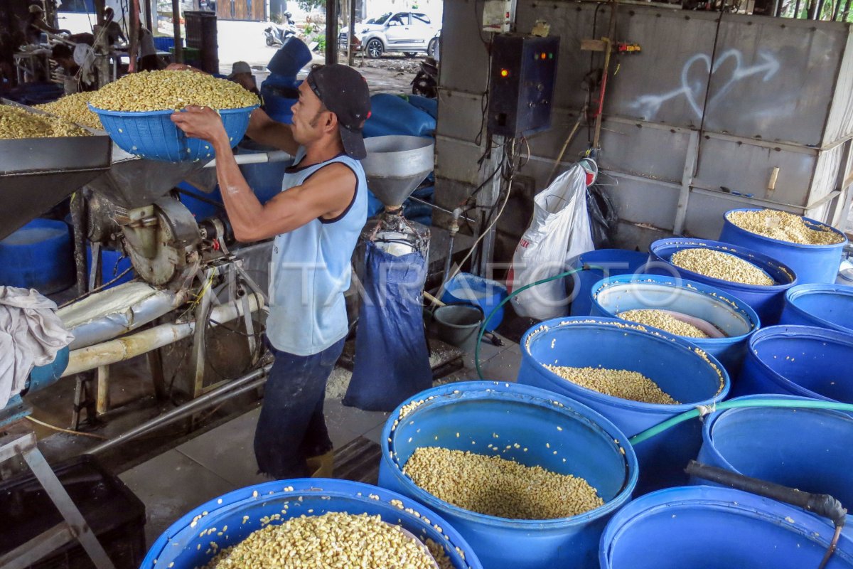 UPAYA PENURUNAN HARGA KEDELAI NASIONAL | ANTARA Foto