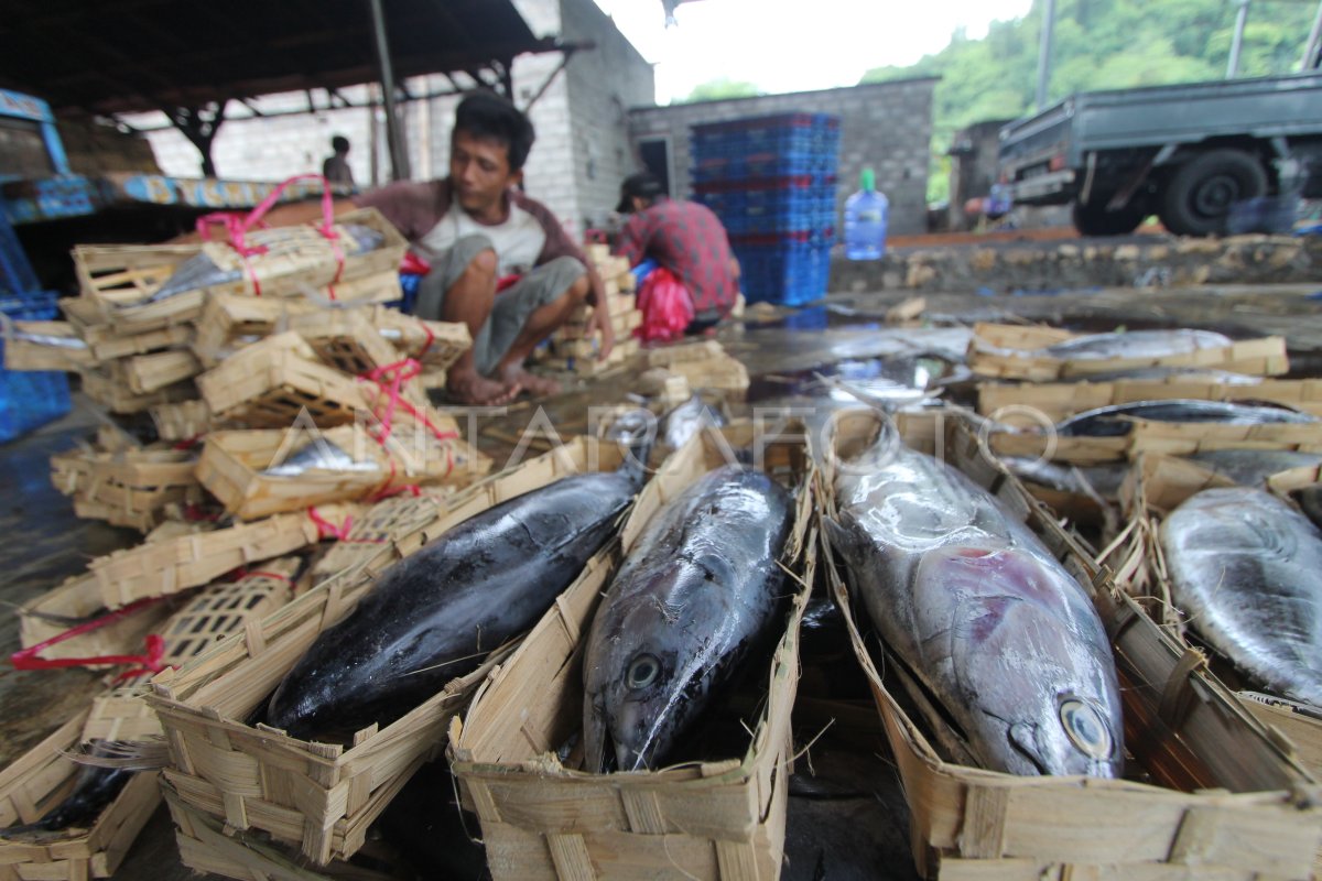 Ikan Pindang Segar