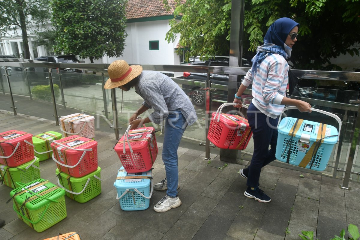 Pelepasan Kucing Liar Yang Telah Di Sterilisasi Antara Foto