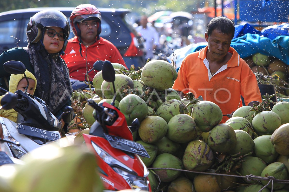 Permintaan Kelapa Muda Meningkat Saat Ramadhan Antara Foto 8459