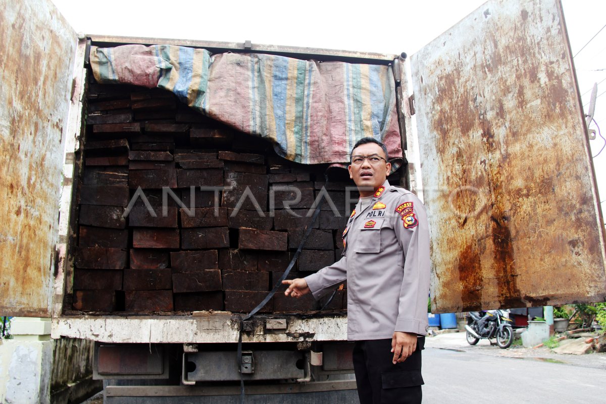 Rilis Kasus Pembalakan Liar Di Riau Antara Foto