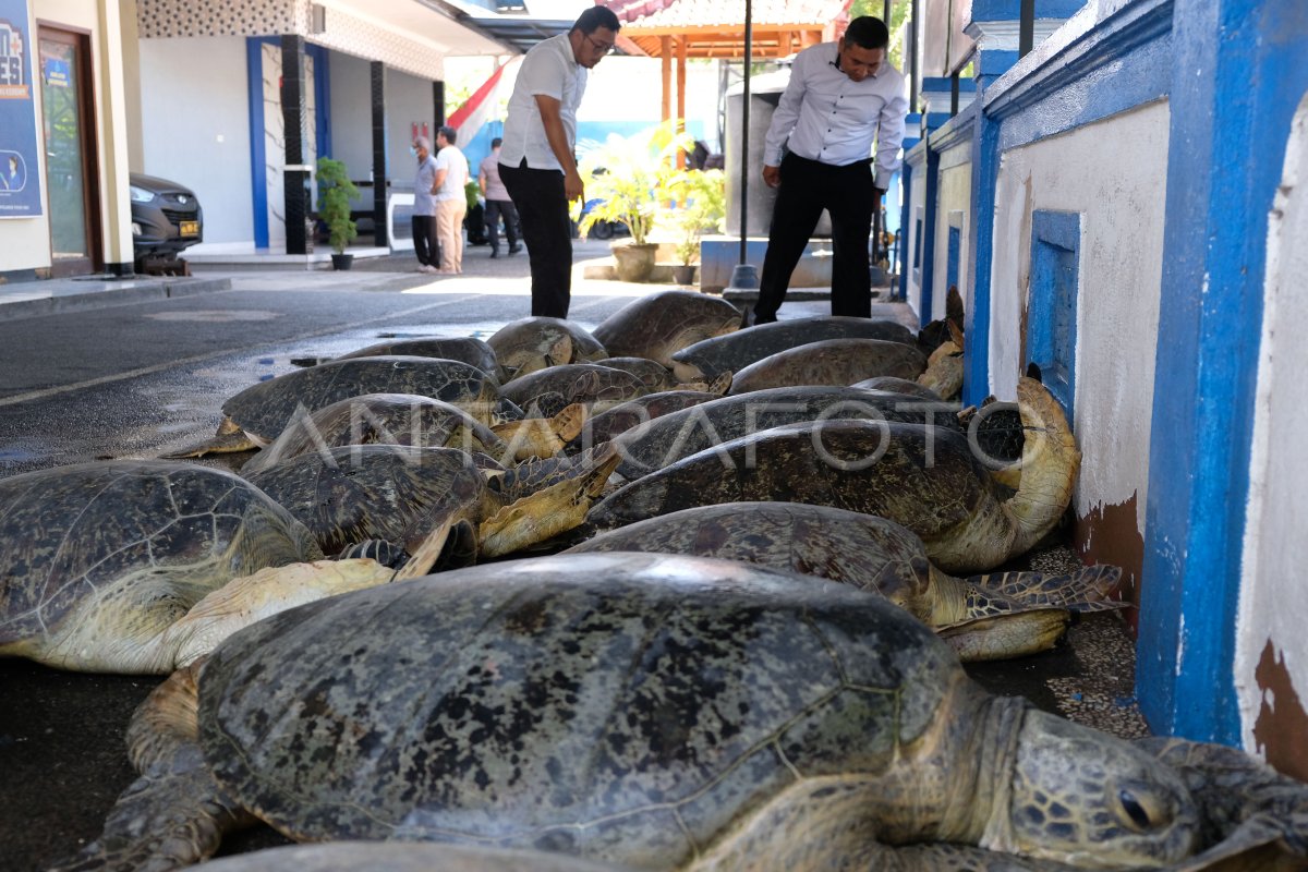 Pengungkapan tindak pidana KSDAHE