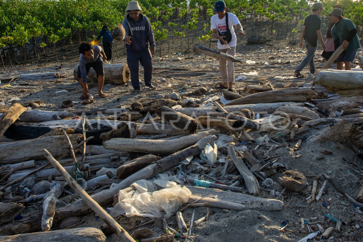 Aki bersih-bersih pantai Teluk Palu