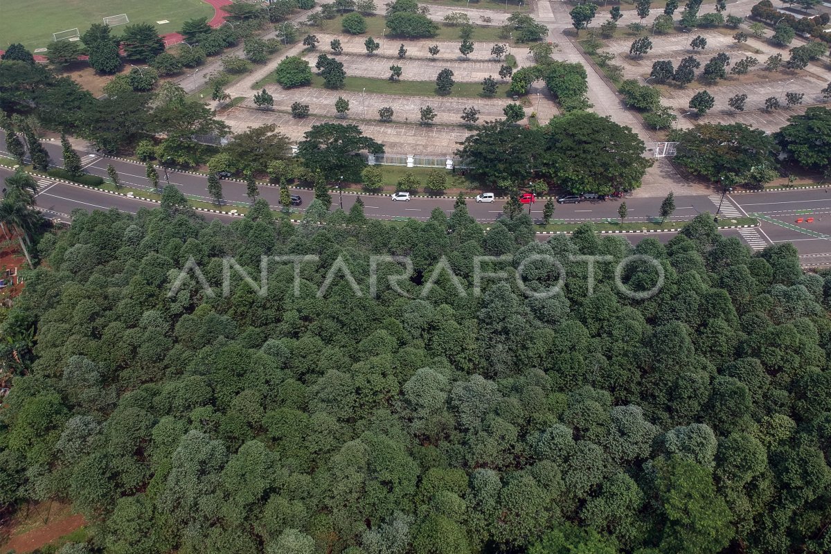 Hutan kota Pakansari Bogor