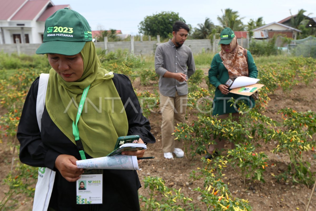 Pelaksanaan Sensus Pertanian 2023 | ANTARA Foto