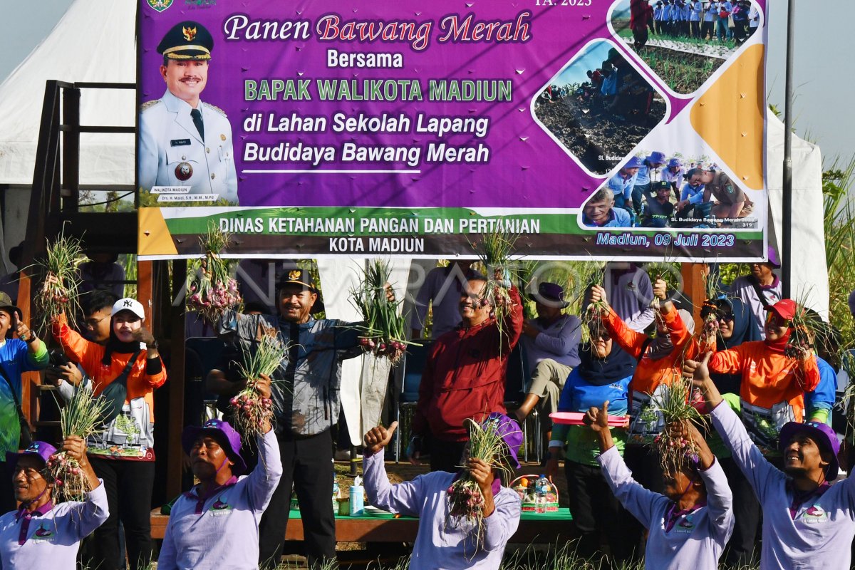 Bantu Petani Jual Panen, Kare Madiun Jadi Sentra Bawang Merah dan Pasar Agribisnis