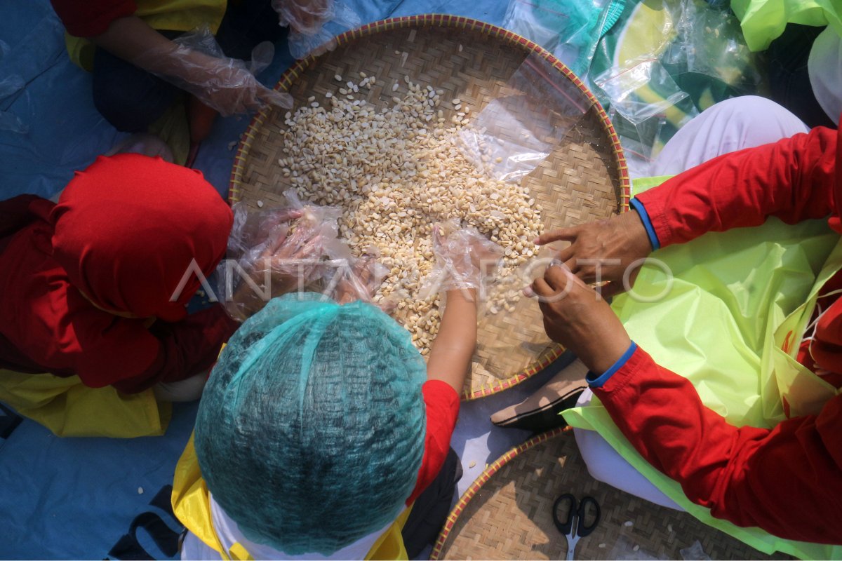 Edukasi cara membuat tempe antara foto
