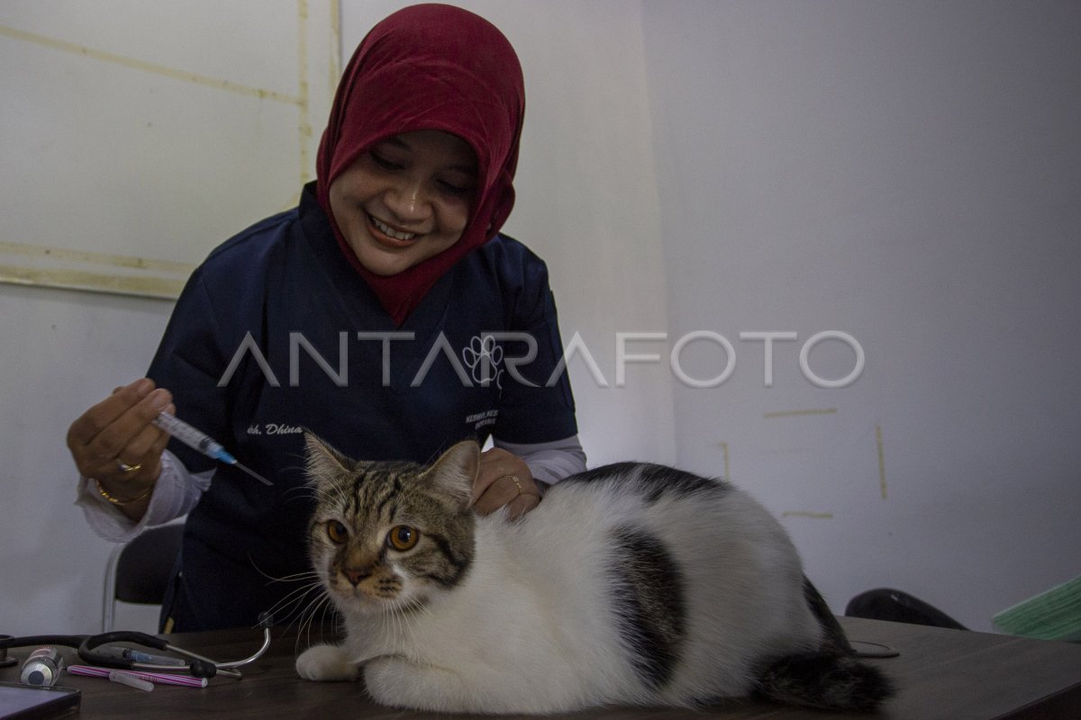 Vaksin rabies gratis di Indramayu