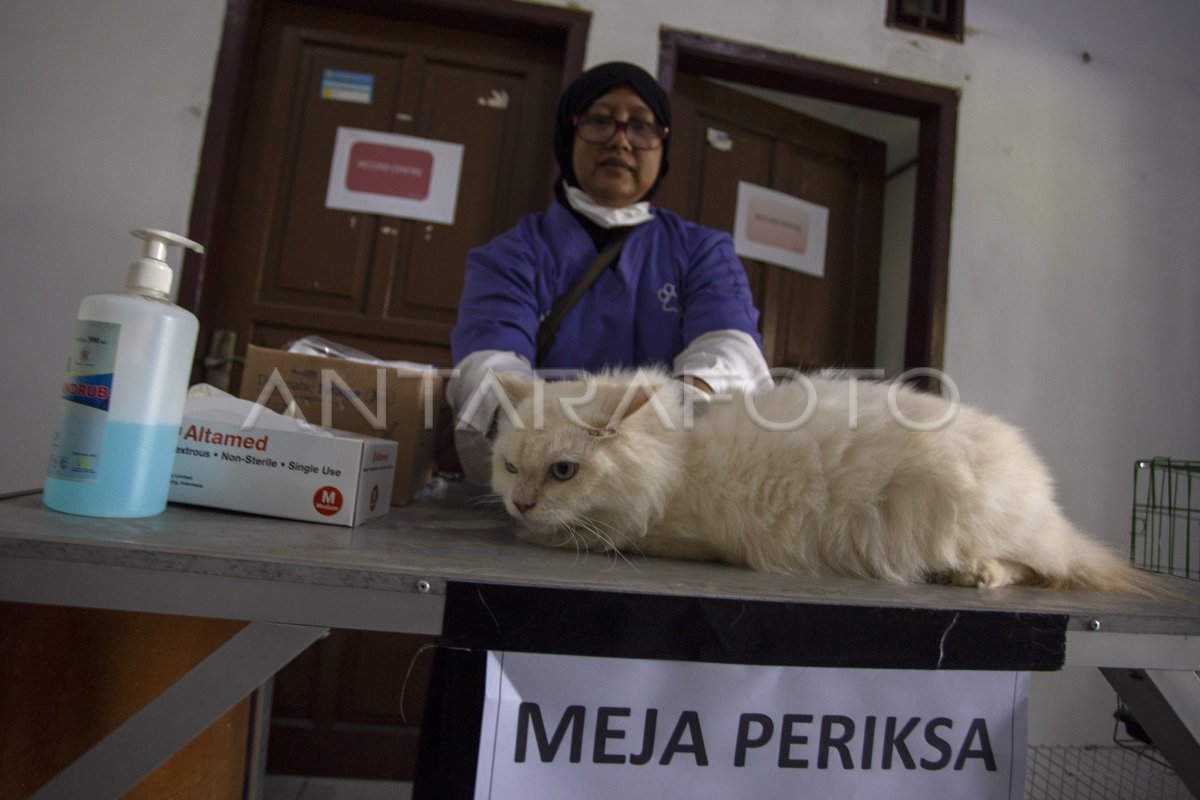 Vaksin rabies gratis di Indramayu