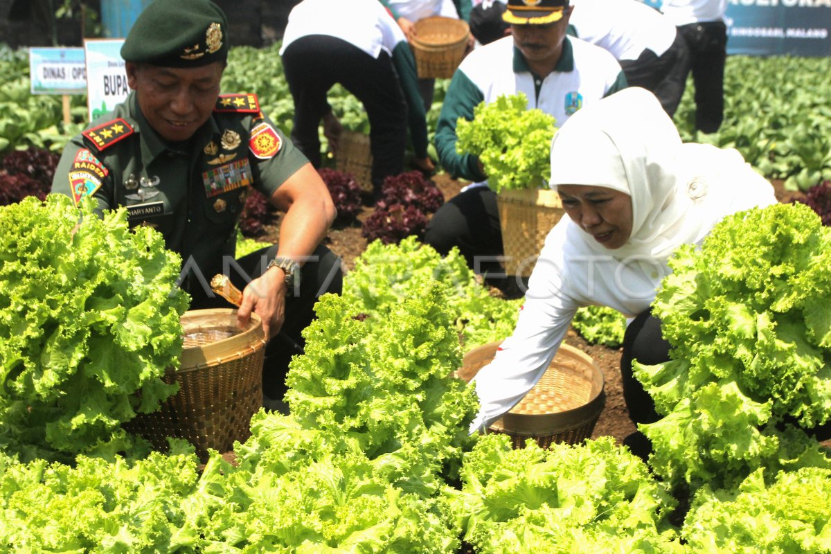 Gubernur Jatim Hadiri Puncak Peringatan Hari Lingkungan Hidup Antara Foto