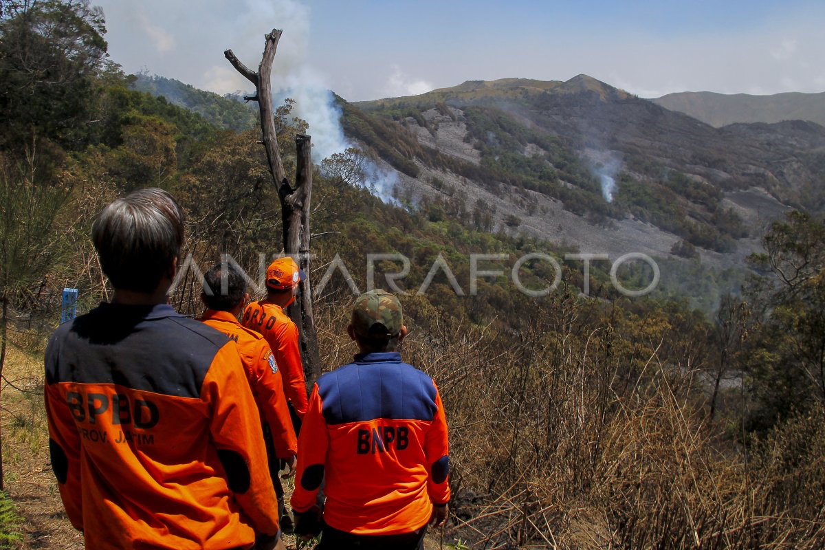 Kawasan hutan dan lahan Gunung Bromo kembali terbakar