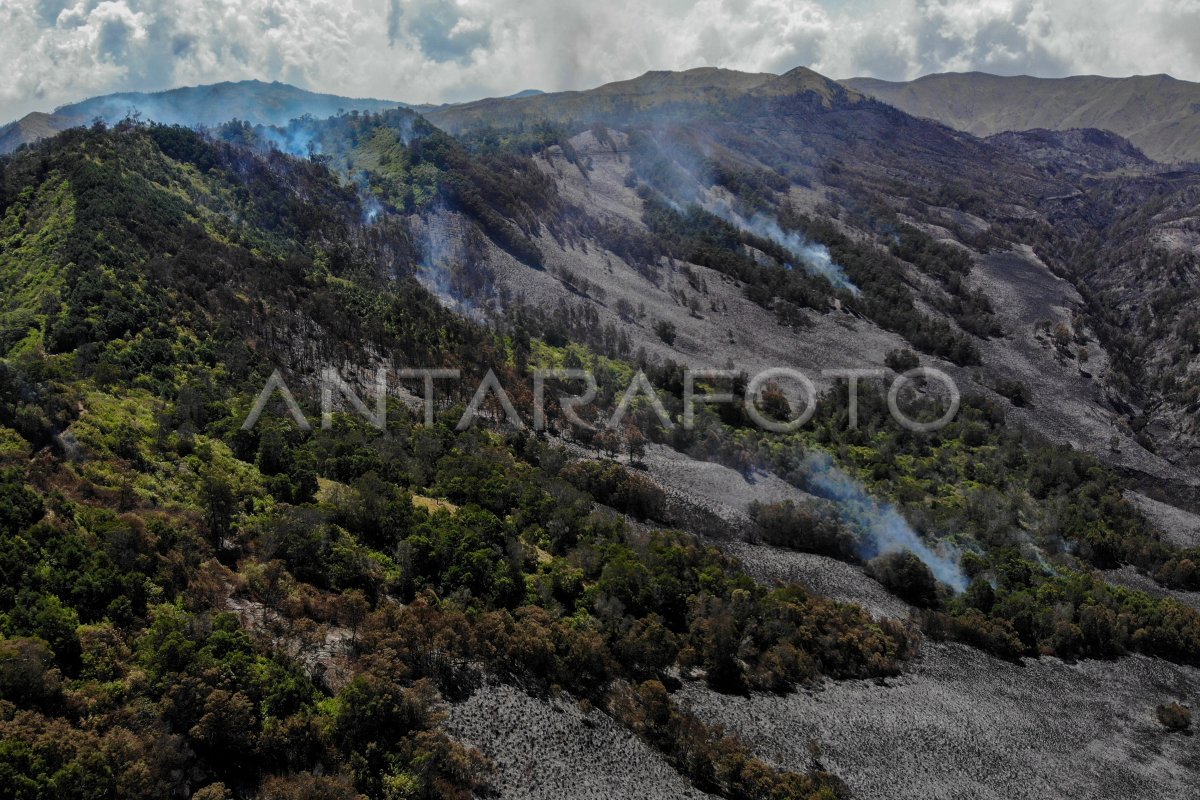 Kawasan hutan dan lahan Gunung Bromo kembali terbakar