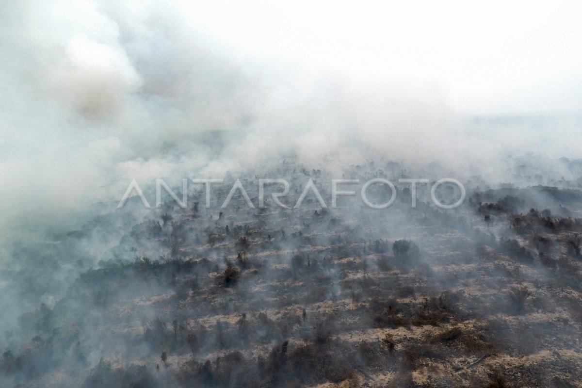 Kebakaran lahan gambut di Desa Jungkal