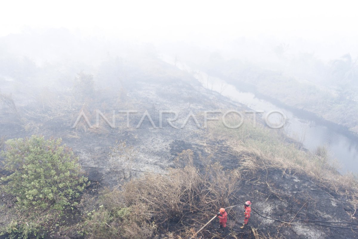 Pemadaman kebakaran lahan gambut di Desa Jungkal